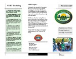 thumbnail of CERT Flyer Publication v6