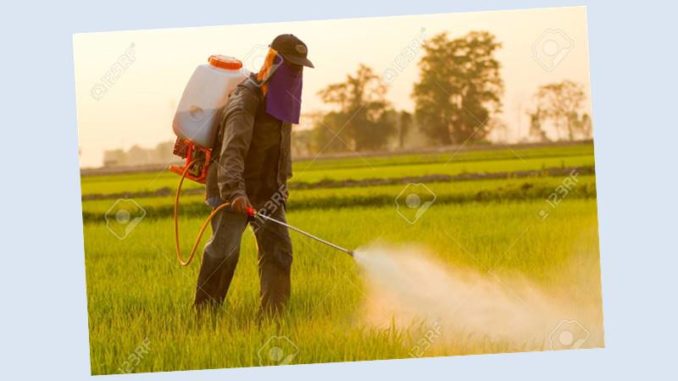 File Photo of Weed Sprayer in Protective Gear