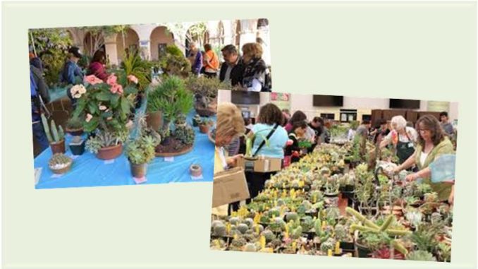 SD Cactus & Succulent Society