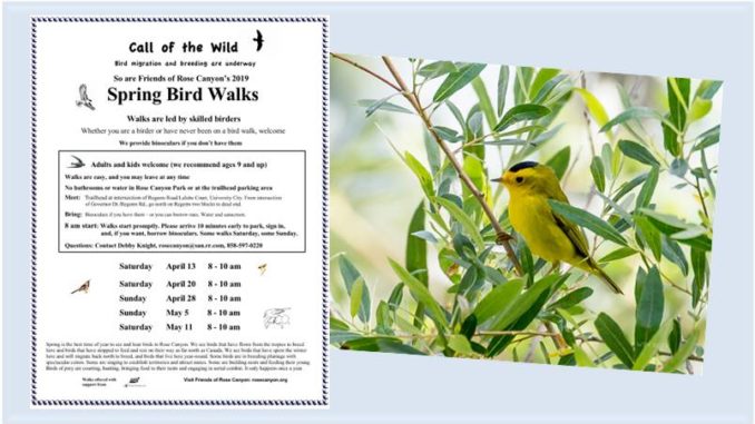 FORC Spring Bird Walks 2019