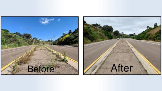 Before and After - Median Cleanup on Regents Road