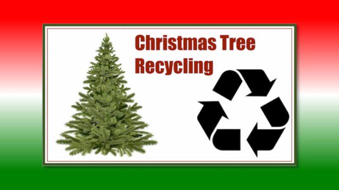 Christmas Tree Recycling