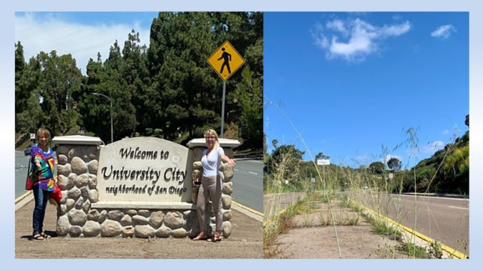 University City median cleanup August 2020