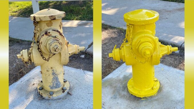 University City Fire Hydrants Looking Good