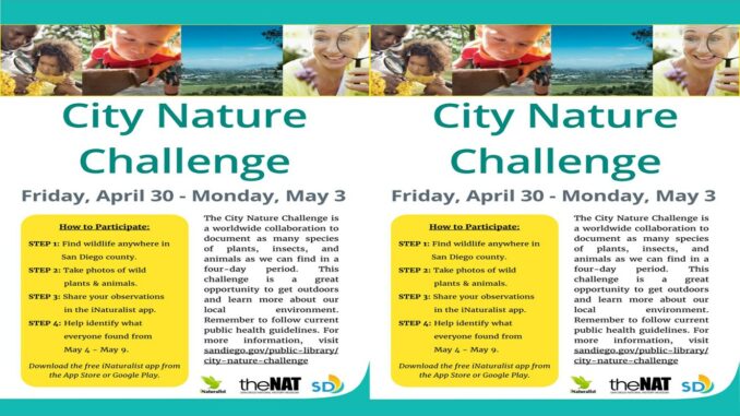 City Nature Challenge 2021