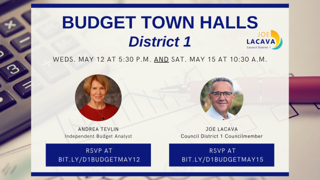 Budget Town Hall district 1 - 2021