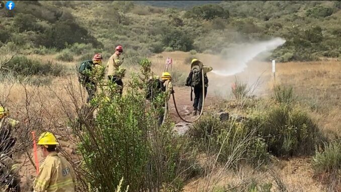 SDFD Wildfire Training
