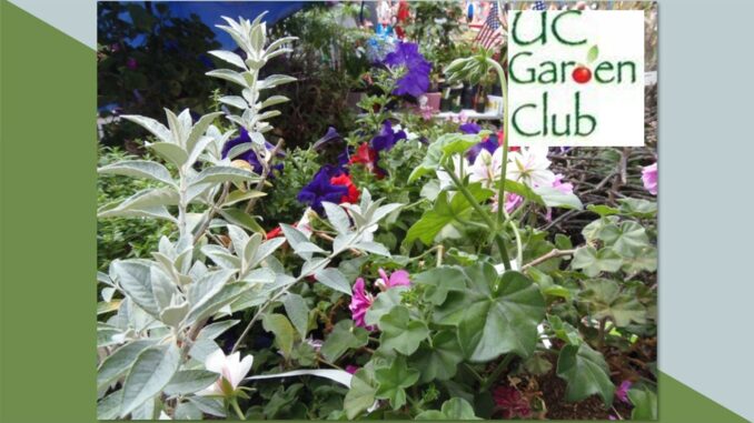 UC Garden Club with GC