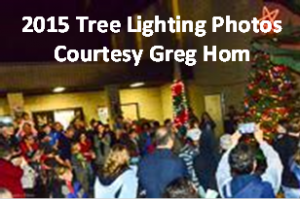 2015 Tree Lighting Greg Hom  